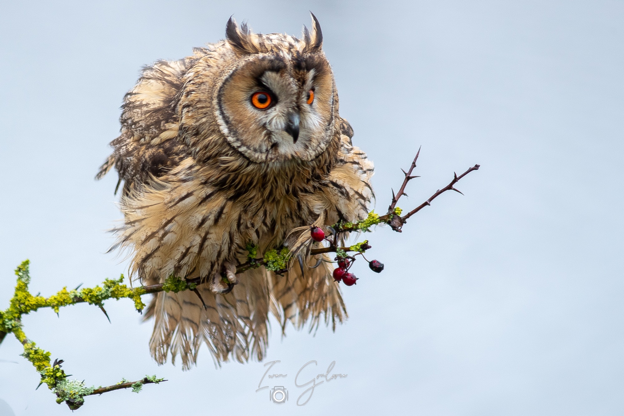 1DX46340 12 december 2021 1323 40